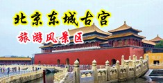 艹屄女中国北京-东城古宫旅游风景区